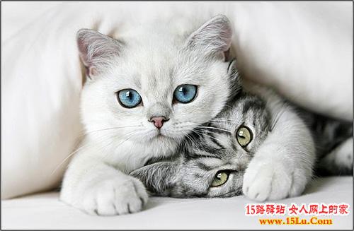 ʲô����ŮŮ�ᱻ��������
