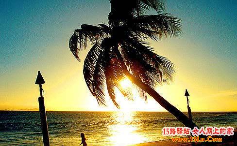 �й�������ǩ ��������ʤ���Ƽ�����ĺ�����������