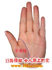 ���㿴����