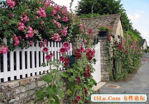 �ļ�ŷ�������ȼ�������˹
