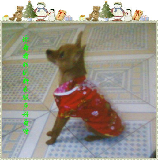 �ҽ�С���