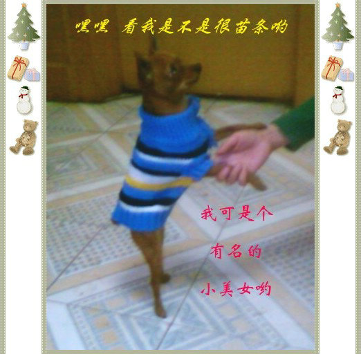 �ҽ�С���