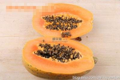 ����ÿ�ղ��ס�[����]ľ�ϱ�����ѩ��