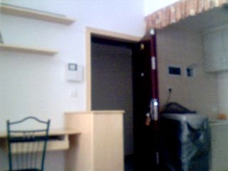 ����һ���Լ����������¸ո�װ�޺õľƵ�ʽ��Ԣ