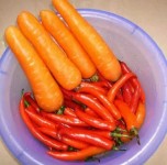 用辣椒腌咸菜的方法大全，这么腌制辣椒才好吃！